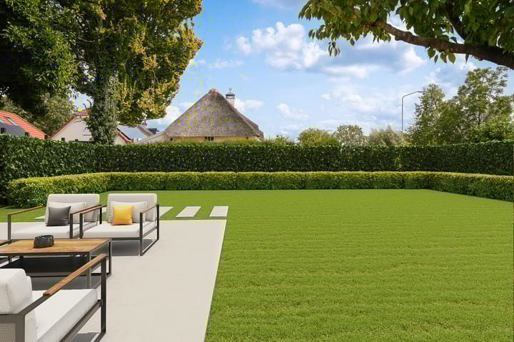 Photo 38 of Burgemeester van Suchtelenstraat 17