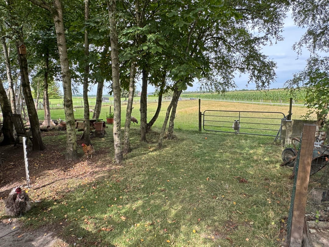 Foto 23 van Veenschapsweg 69