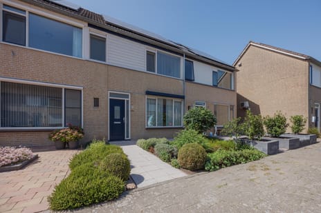 undefined main image