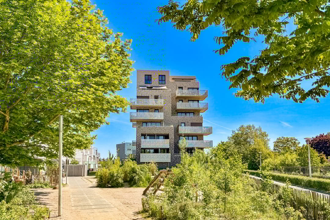 Foto 1 van Pauwoogvlinder 36-C