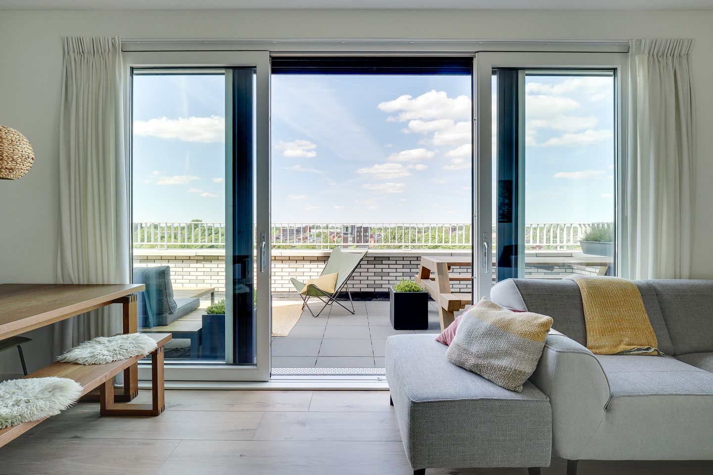 Foto 5 van Pauwoogvlinder 36-C