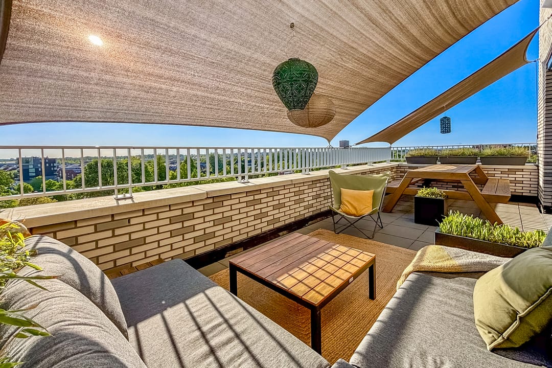 Foto 13 van Pauwoogvlinder 36-C