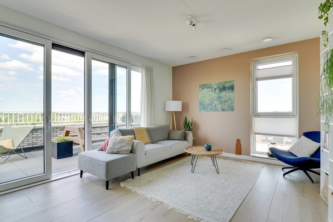 Foto 2 van Pauwoogvlinder 36-C