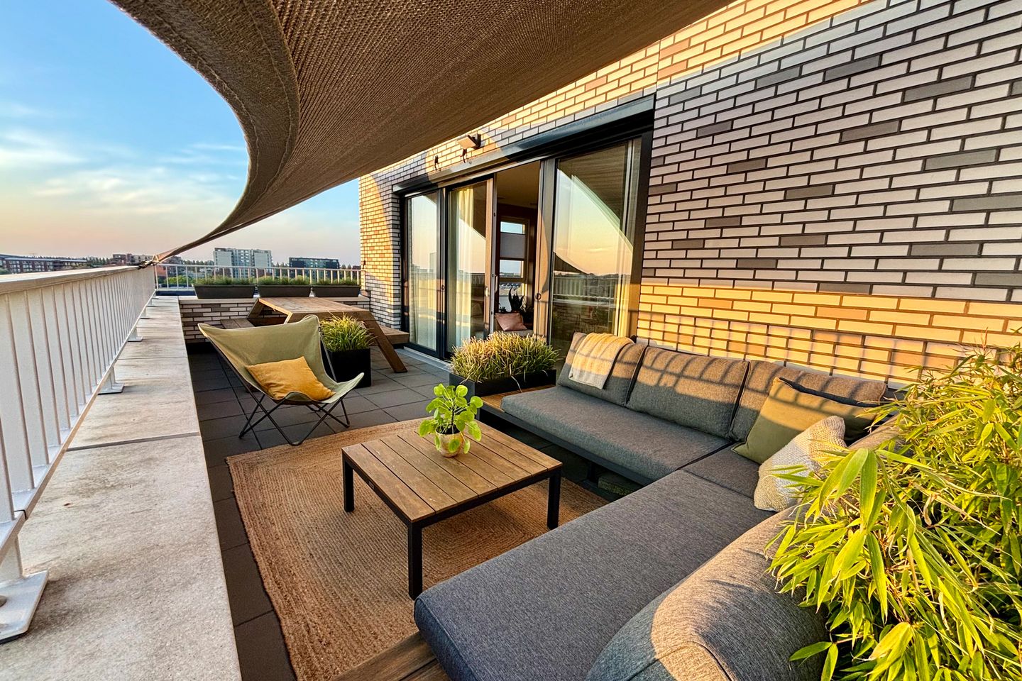 Foto 14 van Pauwoogvlinder 36-C