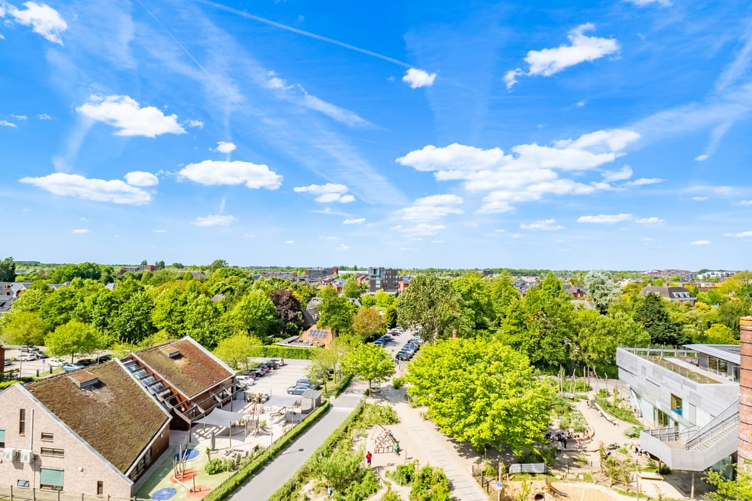 Foto 16 van Pauwoogvlinder 36-C