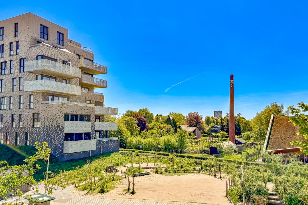 Foto 17 van Pauwoogvlinder 36-C