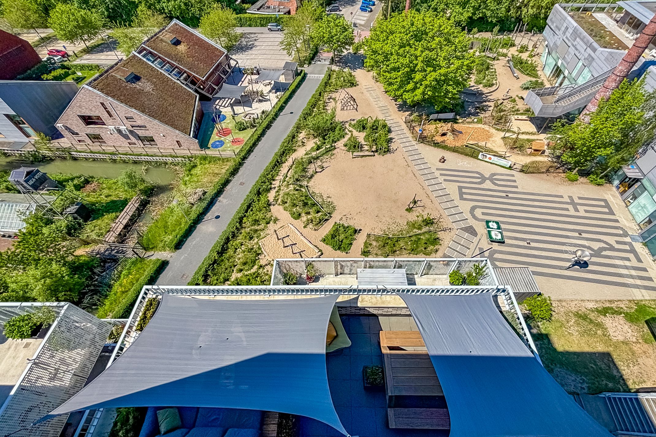 Foto 18 van Pauwoogvlinder 36-C