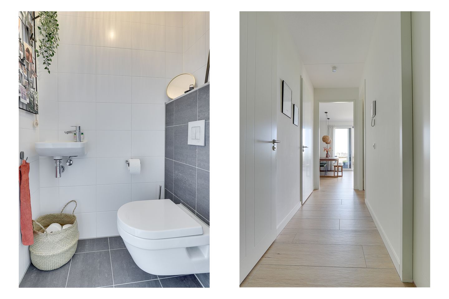 Foto 19 van Pauwoogvlinder 36-C