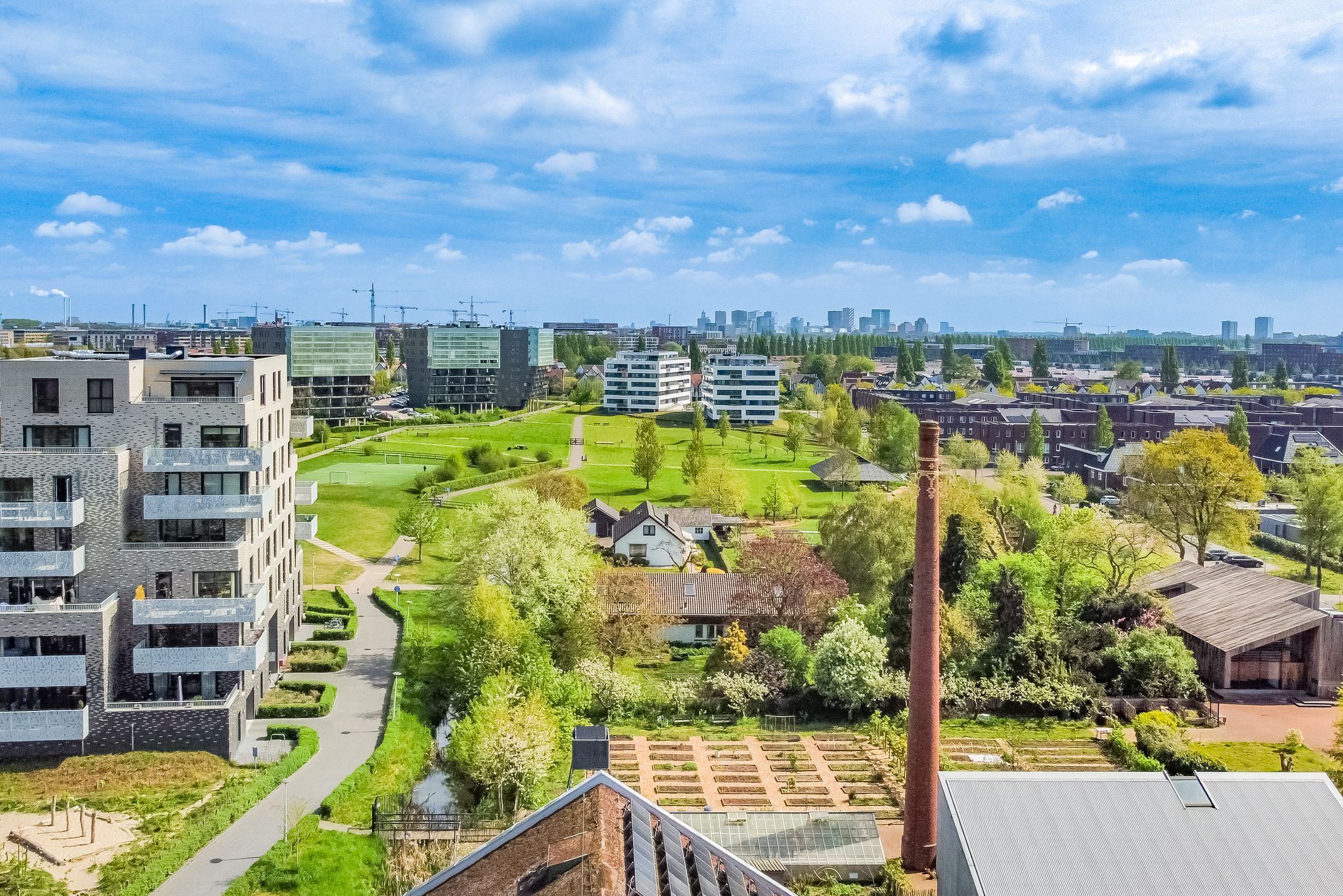 Foto 30 van Pauwoogvlinder 36-C