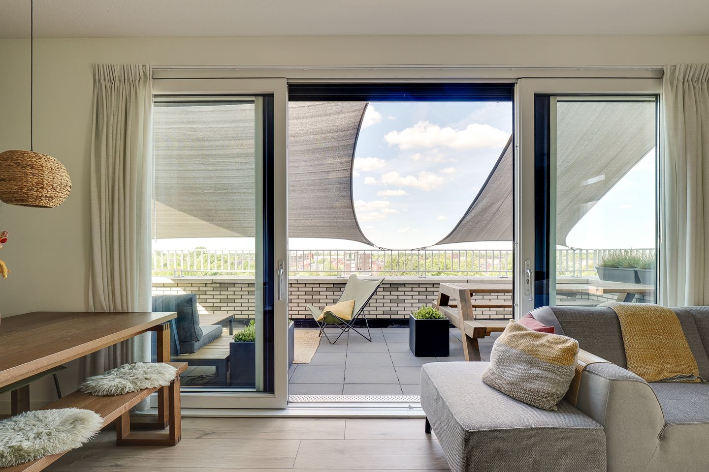 Foto 29 van Pauwoogvlinder 36-C