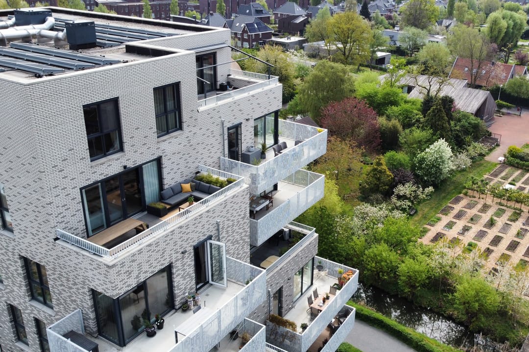 Foto 31 van Pauwoogvlinder 36-C