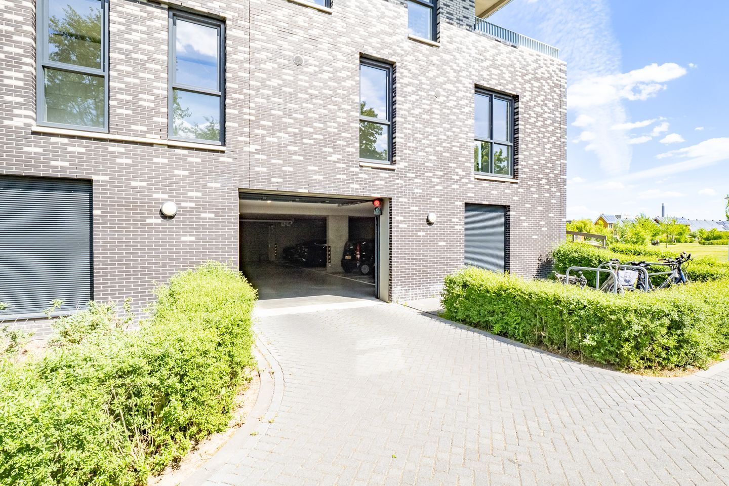 Foto 35 van Pauwoogvlinder 36-C