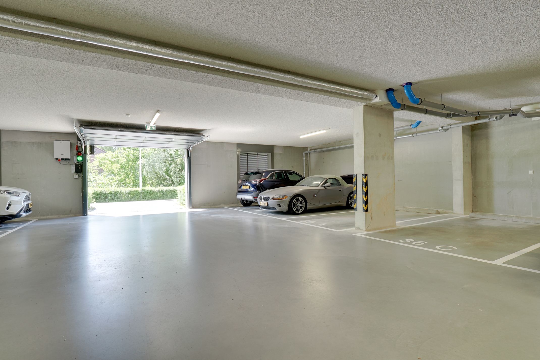 Foto 36 van Pauwoogvlinder 36-C