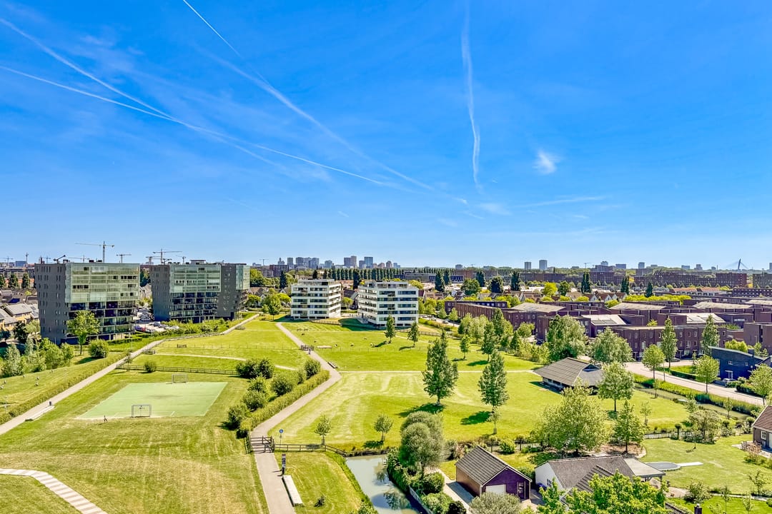 Foto 38 van Pauwoogvlinder 36-C