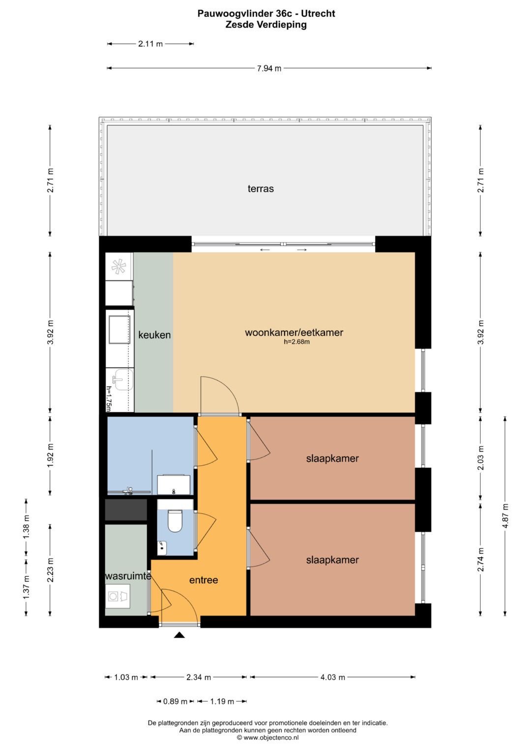 Foto 41 van Pauwoogvlinder 36-C