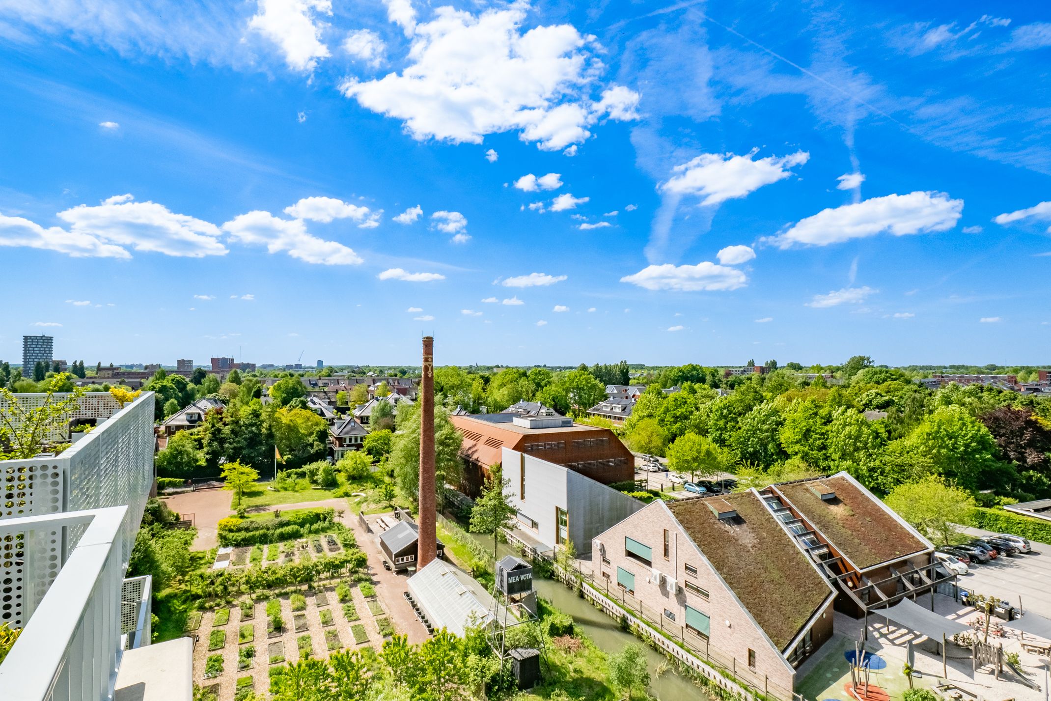 Foto 39 van Pauwoogvlinder 36-C