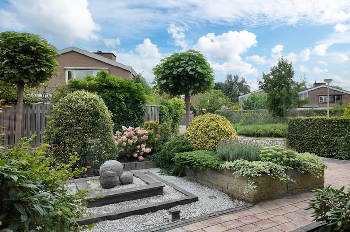 Foto 2 van Watersnip 35