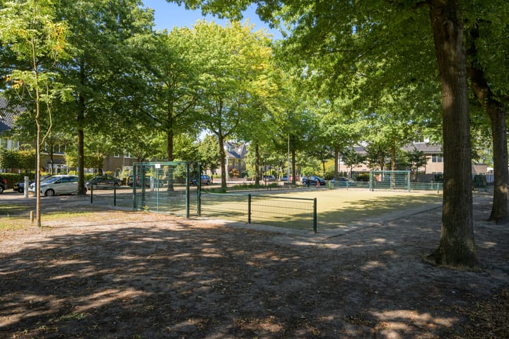 Foto 55 van Smutsstraat 53