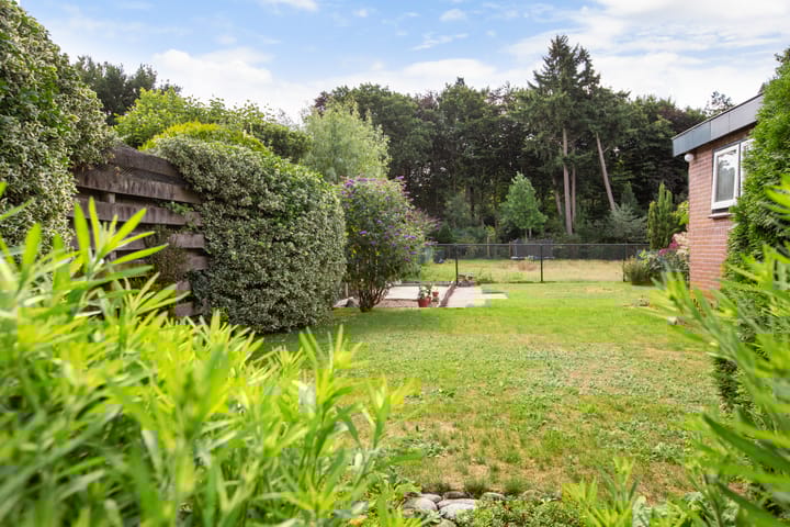 Foto 2 van Waldeck Pyrmontlaan 11