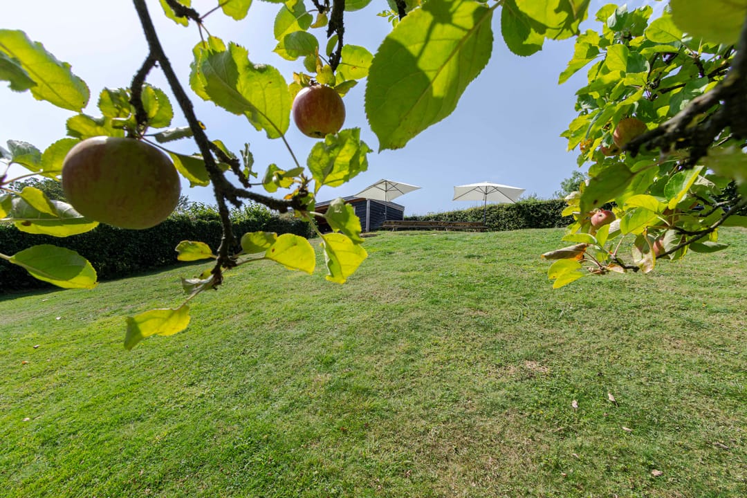 Foto 43 van Geulgracht 7