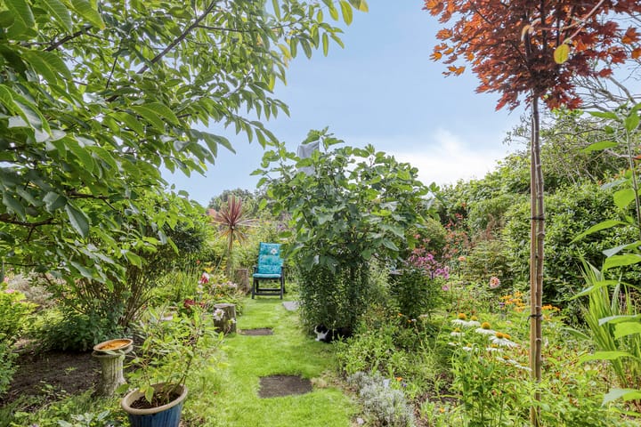 Foto 30 van Peesterstraat 4