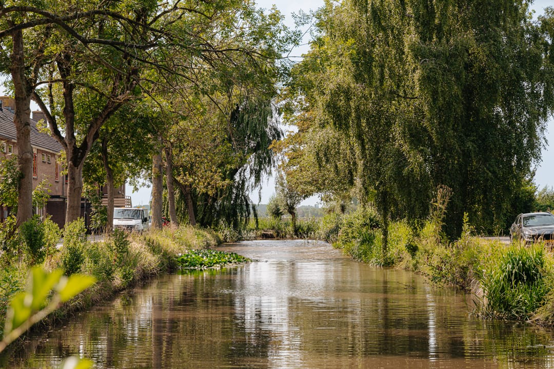 Foto 2 van Meerkoetlaan 84