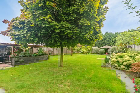 Hogendijk 12 tertiary image