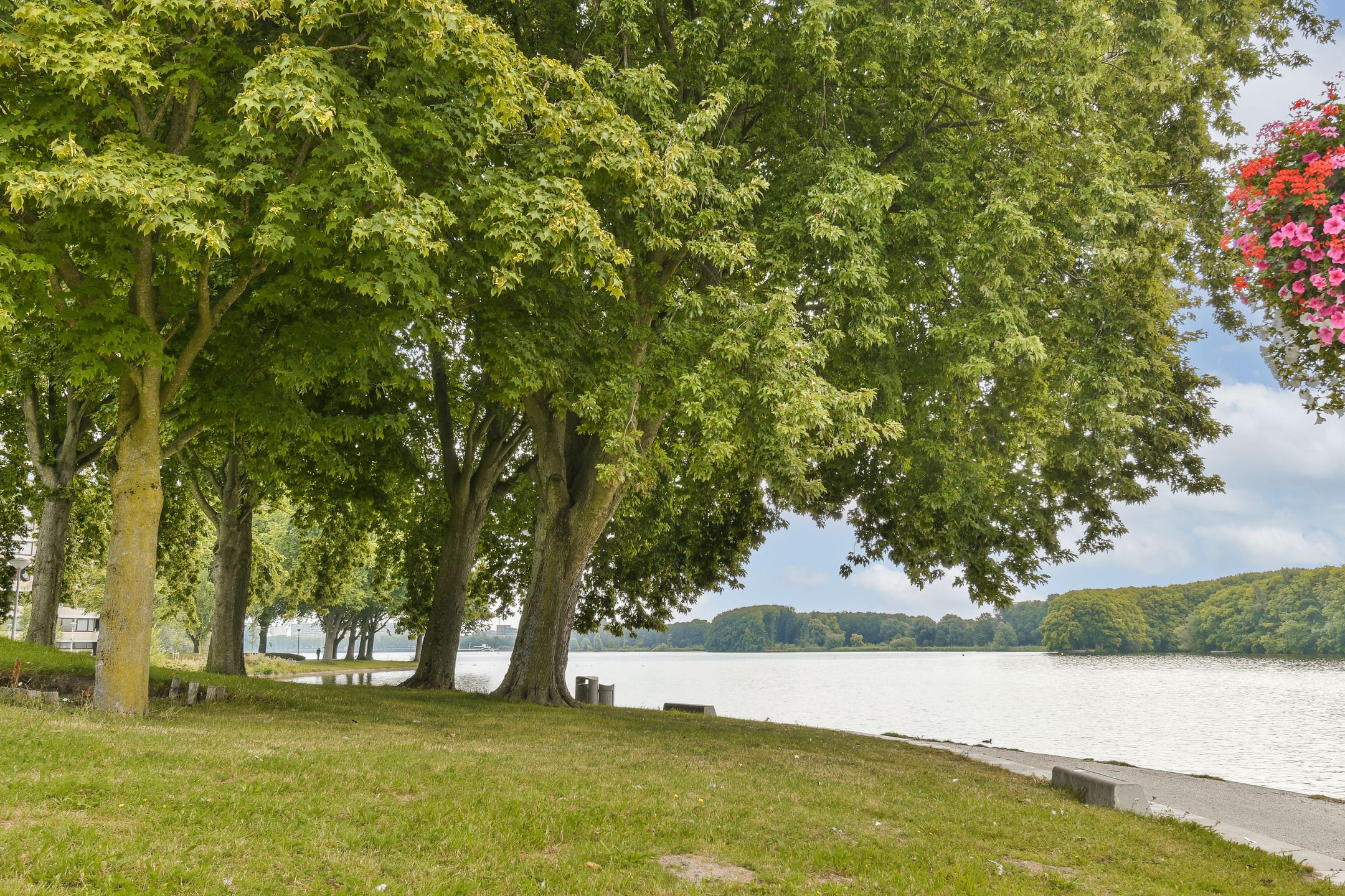 Foto 24 van Osdorpplein 189