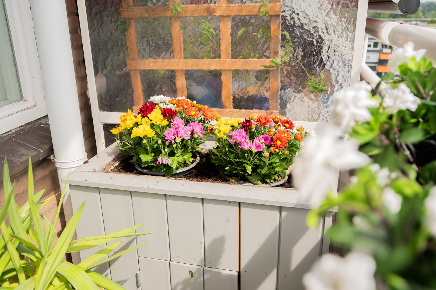 Foto 5 van Margijnenenk 193