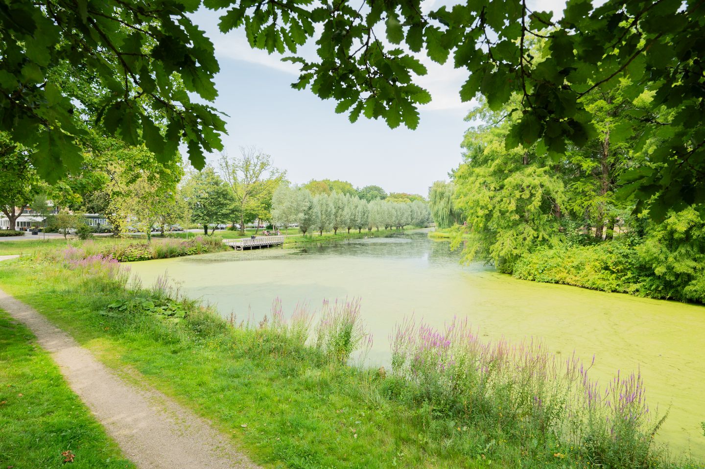 Foto 19 van Margijnenenk 193