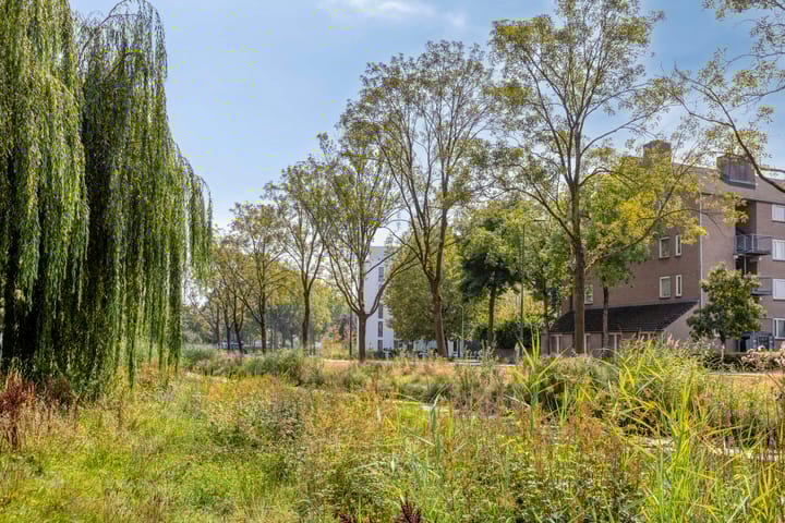 Foto 36 van Vierde Hambaken 9