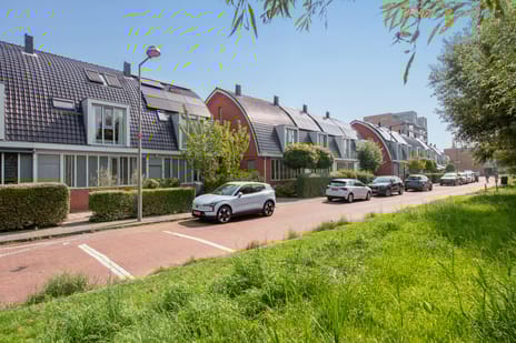 undefined main image