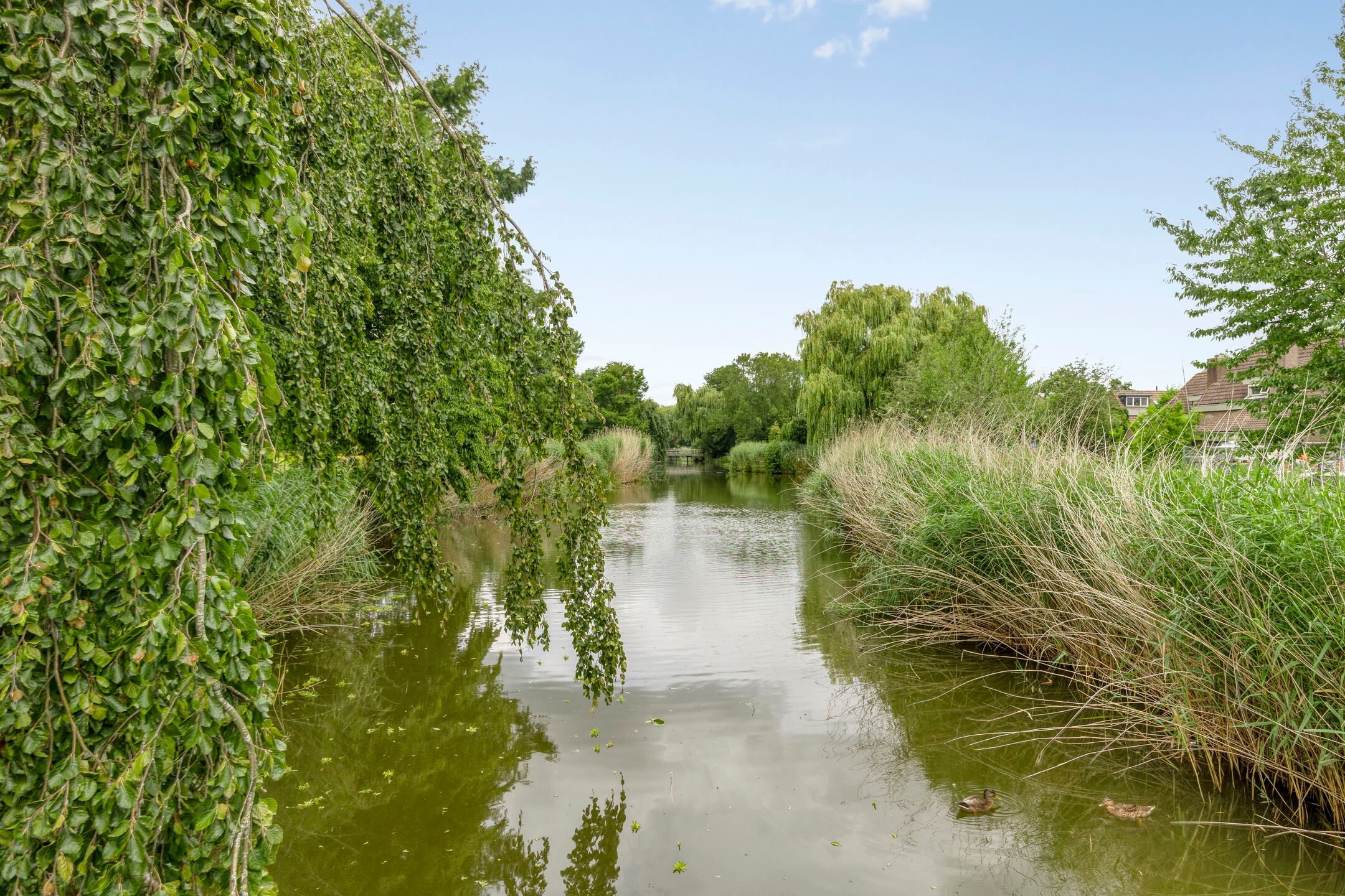 Foto 6 van Grutto 30