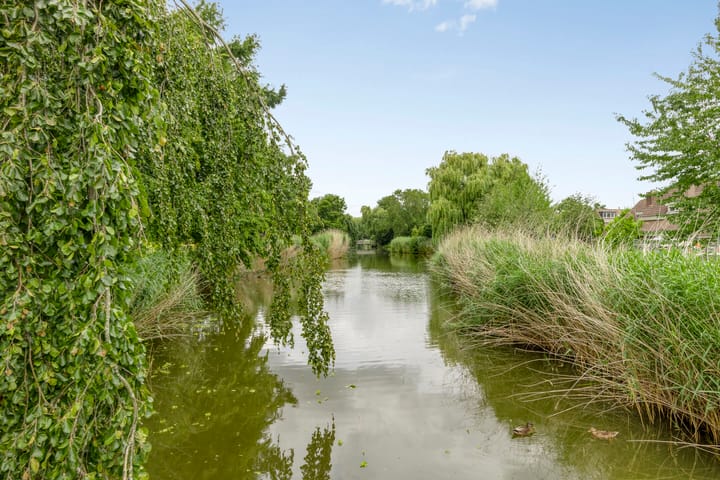 Foto 6 van Grutto 30