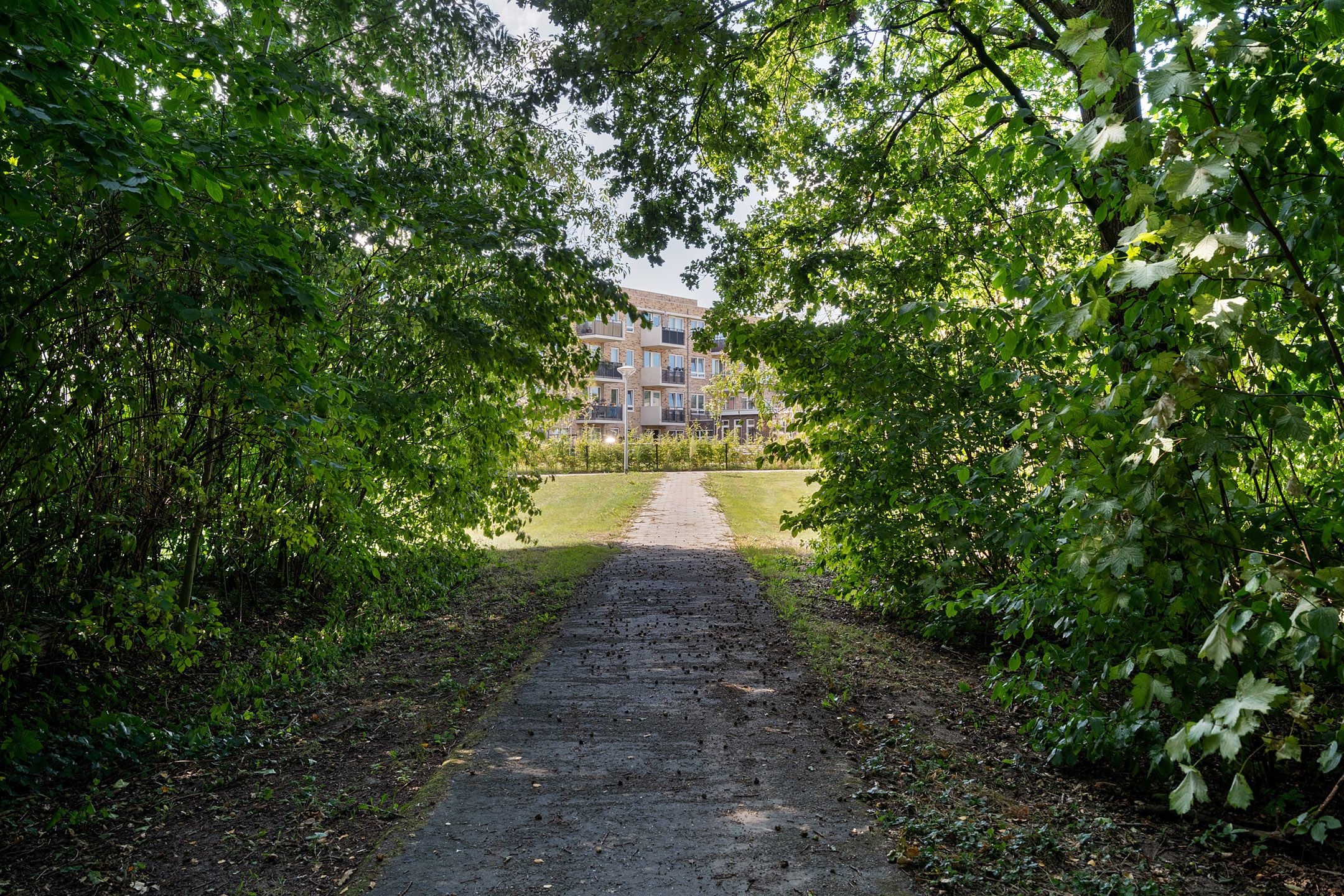 Foto 36 van Barracudastraat 10