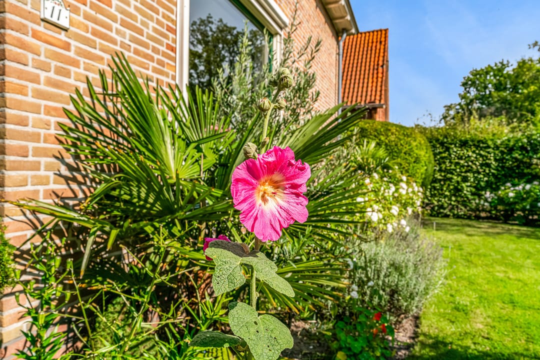 Photo 52 of Wentholtlaan 11