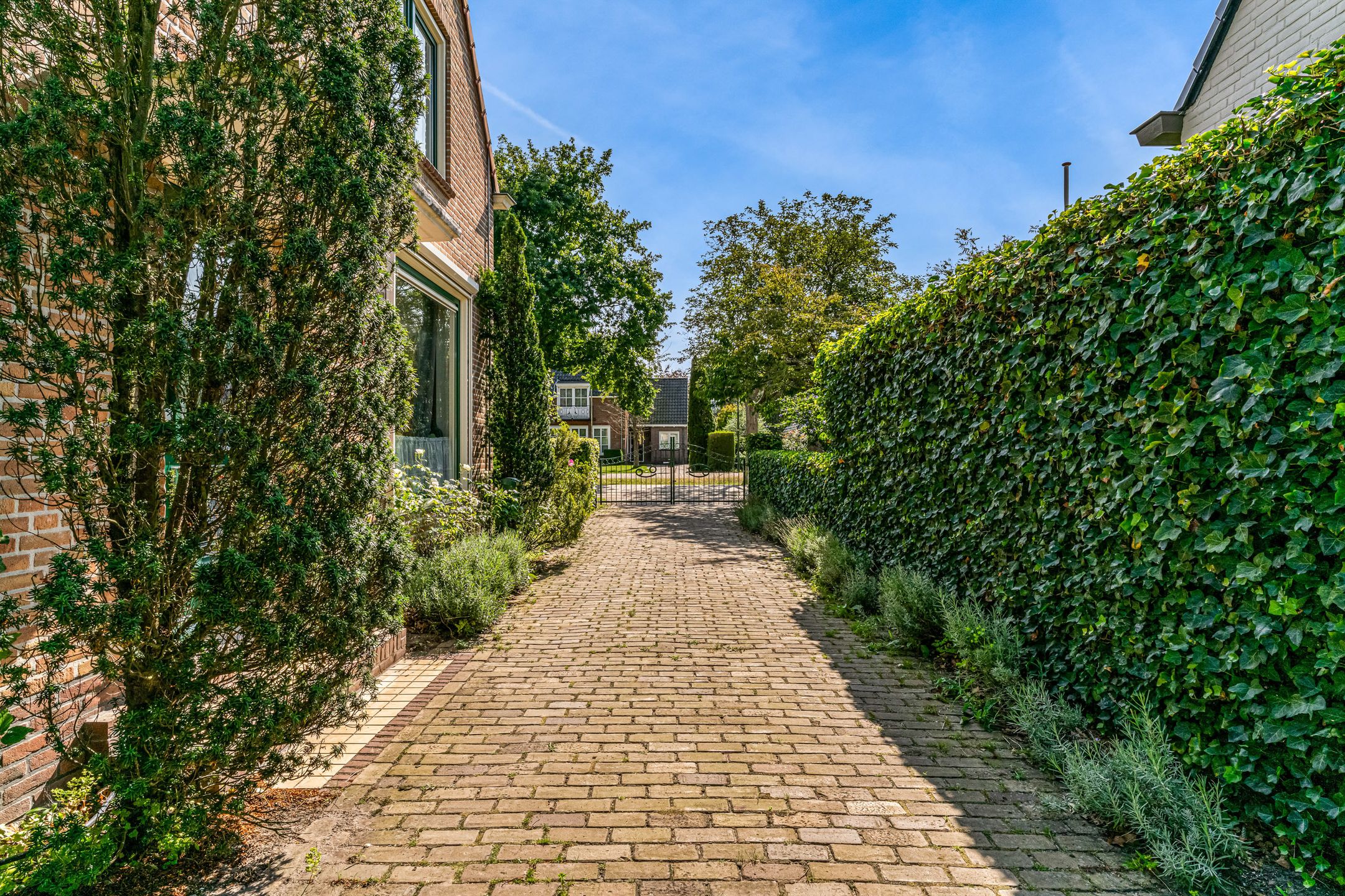 Photo 54 of Wentholtlaan 11