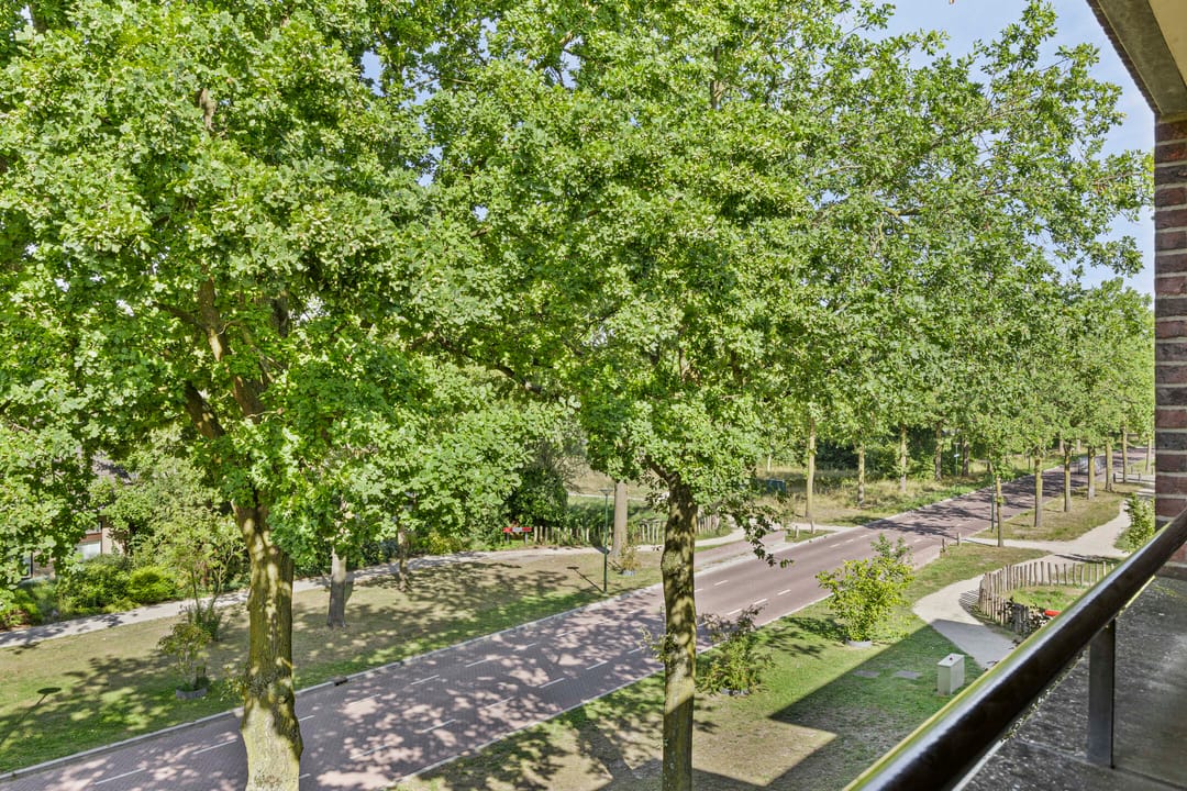 Foto 41 van Vondellaan 165