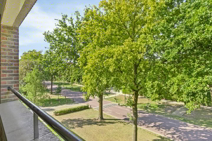 Foto 40 van Vondellaan 165