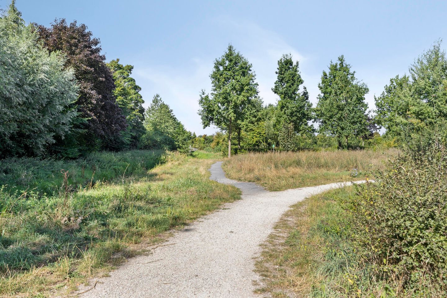 Foto 50 van Vondellaan 165