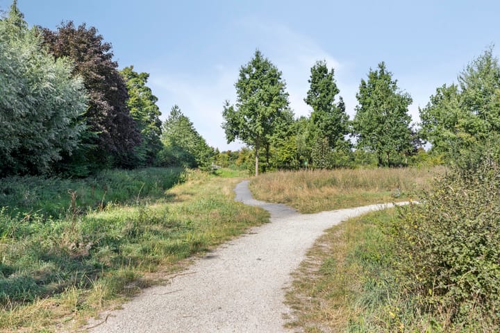 Foto 50 van Vondellaan 165