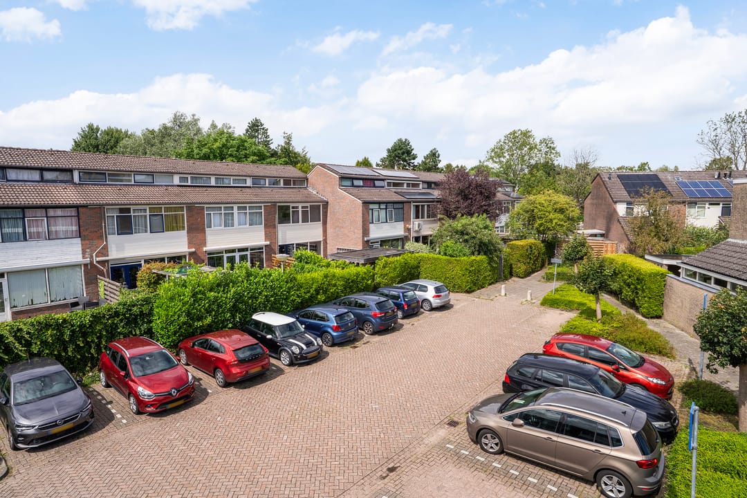 Foto 7 van Lenteklokje 53