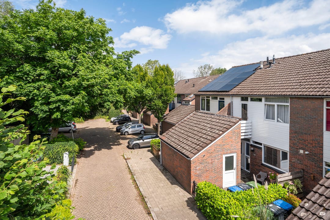 Foto 8 van Lenteklokje 53