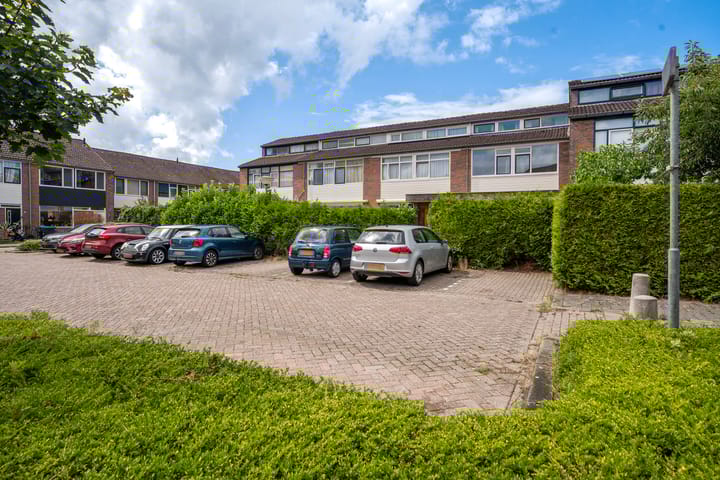 Foto 9 van Lenteklokje 53