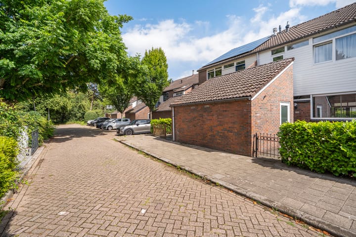 Foto 11 van Lenteklokje 53