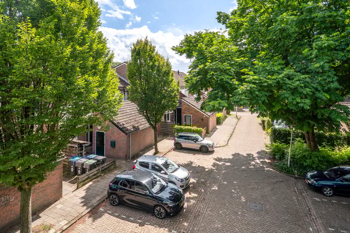 Foto 12 van Lenteklokje 53