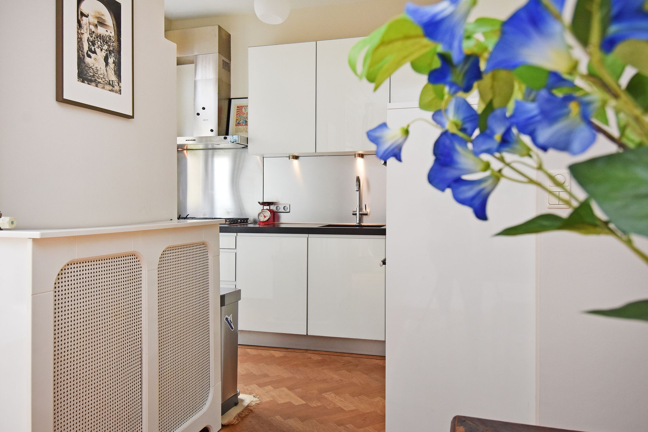 Foto 30 van Koningin Wilhelminalaan 471