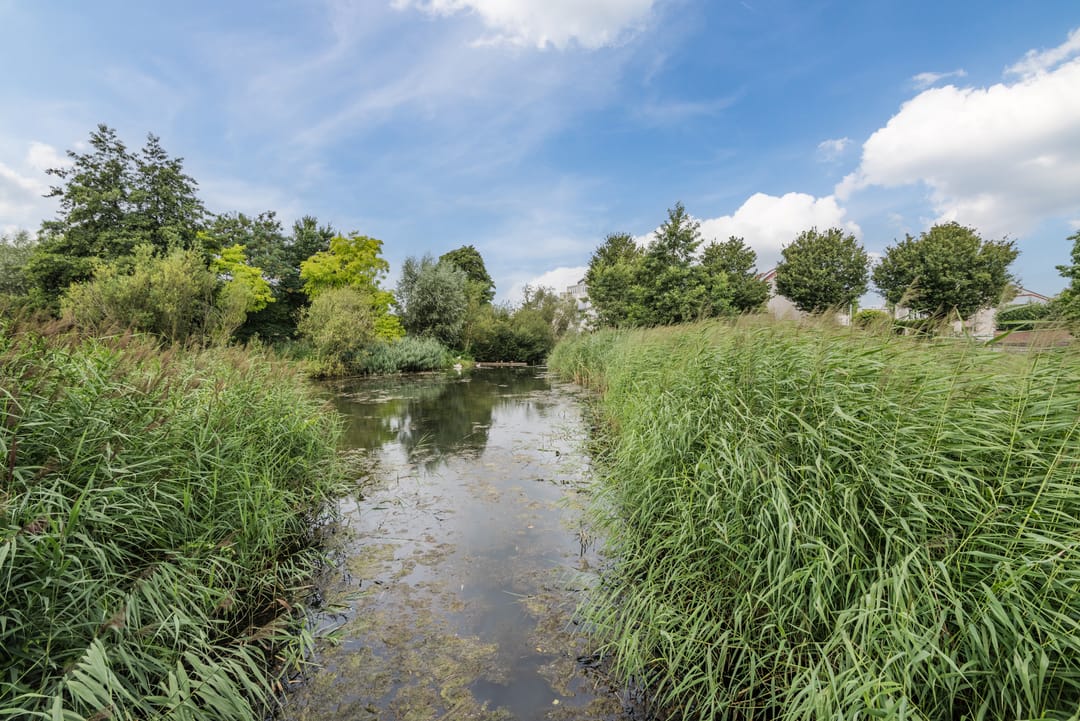 Foto 47 van Mozartdreef 118