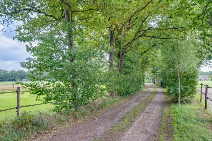 Foto 24 van Dollehoedsdijk 9