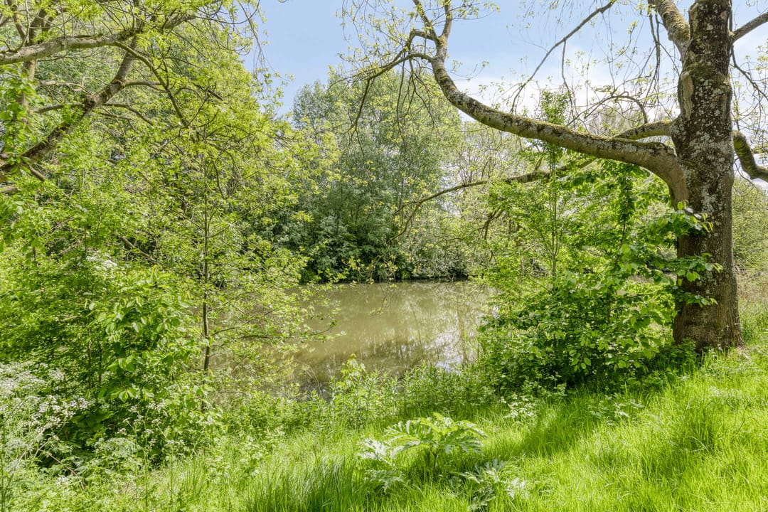 Foto 28 van Populierenlaan 115